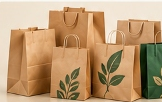 Paper Bag Solutions